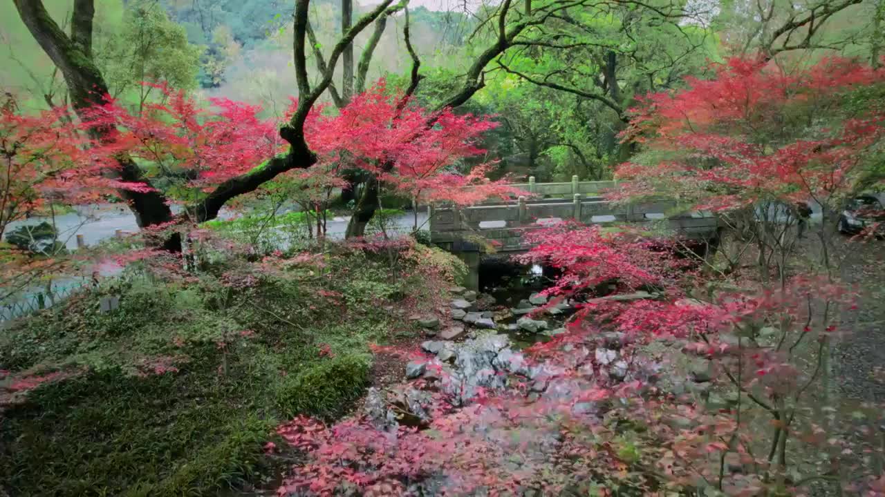 九溪的秋视频素材