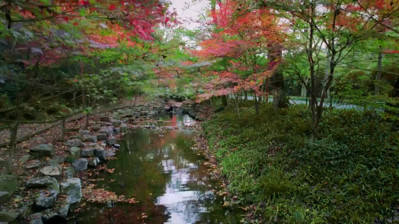 九溪的秋视频素材