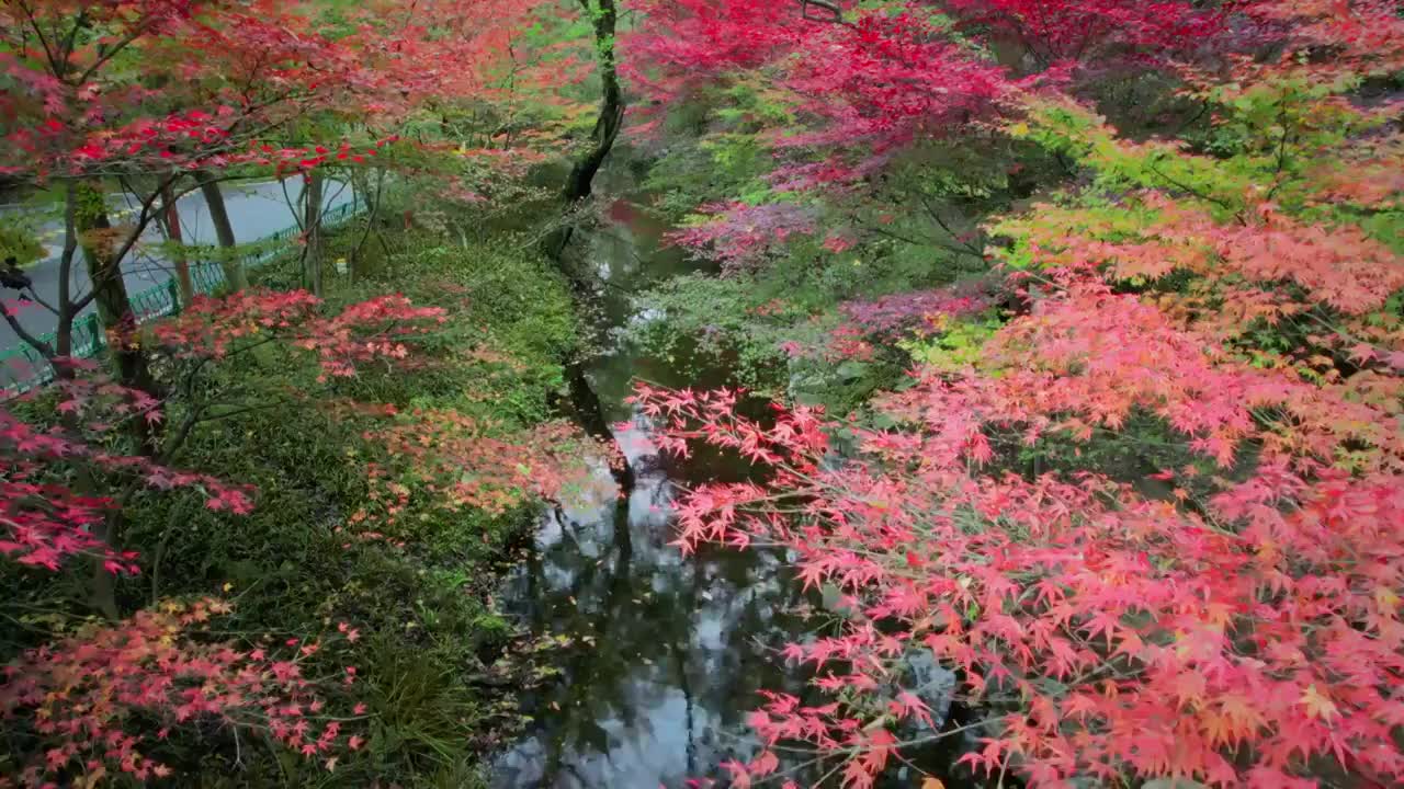 九溪的秋视频素材