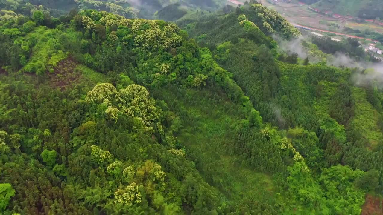 航拍清远市阳山县黄坌镇悬崖公路雨后春色视频素材