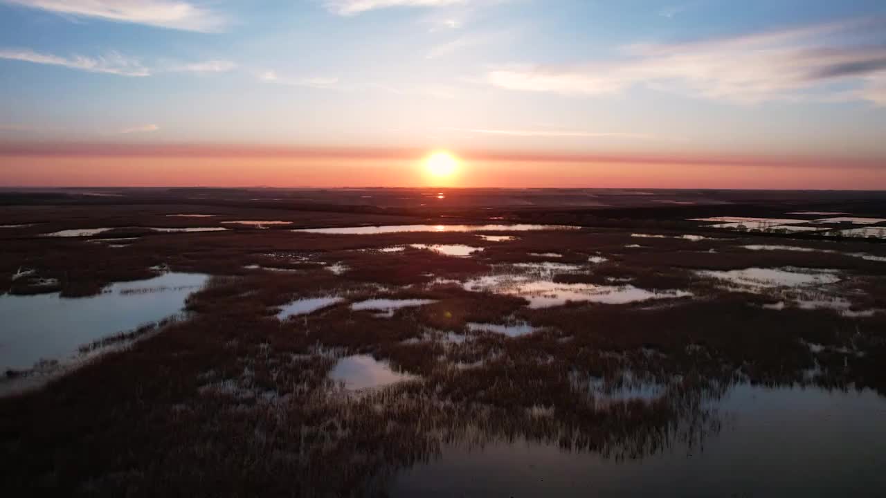 湿地视频素材