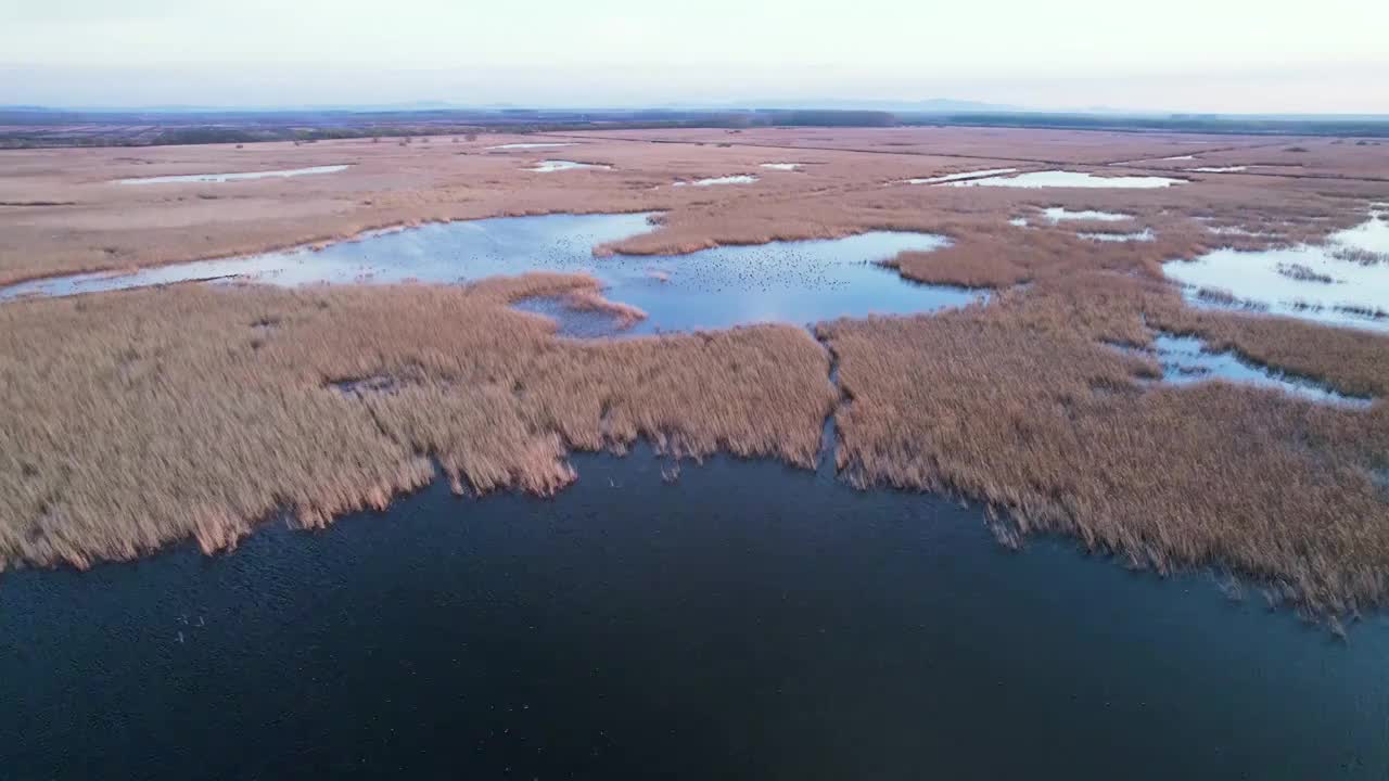 湿地视频素材