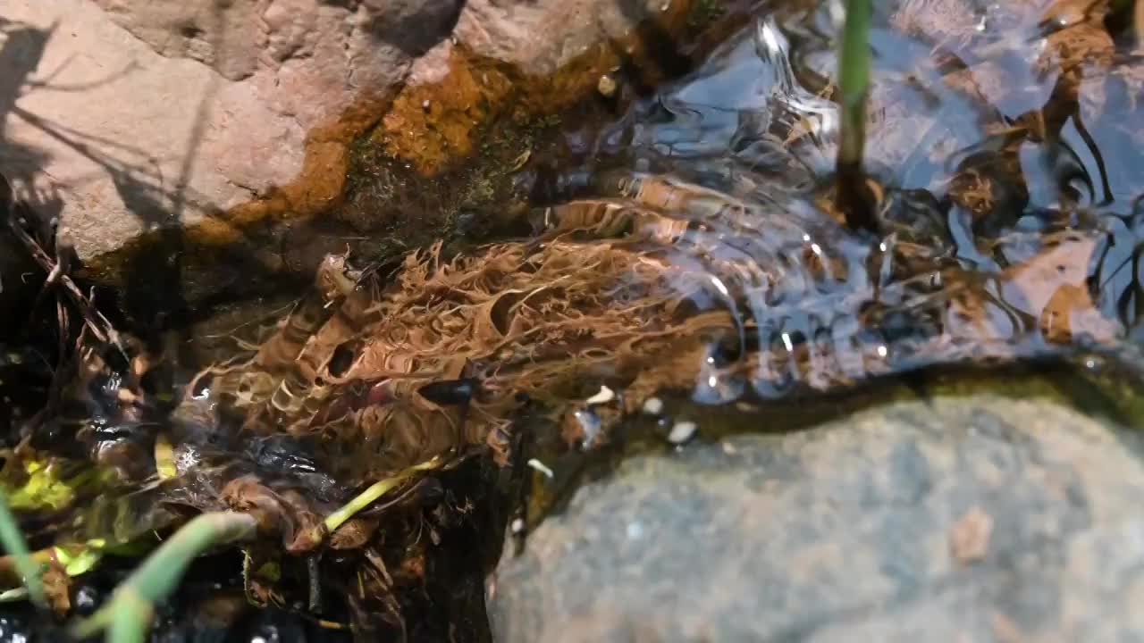 石头上的水流视频素材