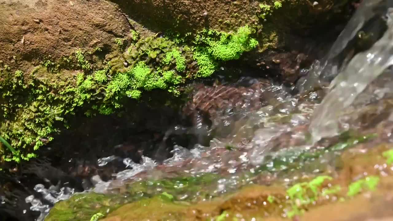 石头上的水流视频素材