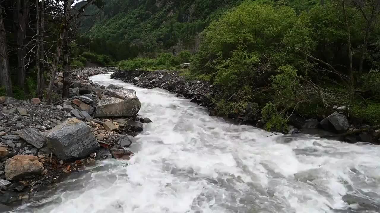 四姑娘山长坪沟景区内奔腾的河流视频素材