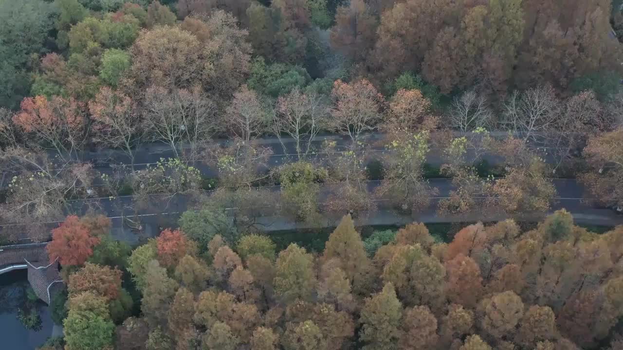 杭州西湖秋天航拍视频素材