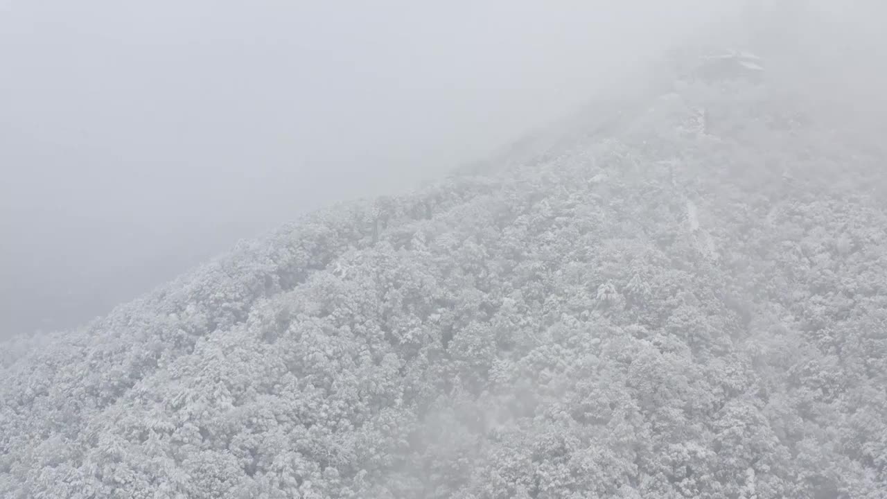 杭州灵应寺雪视频素材