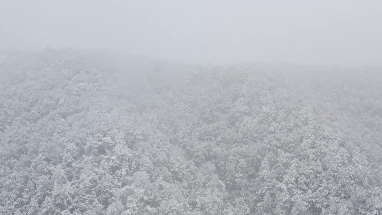 杭州灵应寺雪视频素材