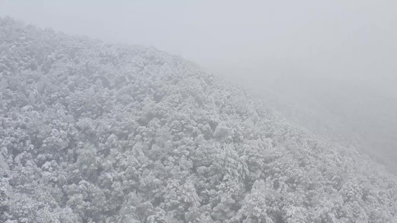 杭州灵应寺雪视频素材