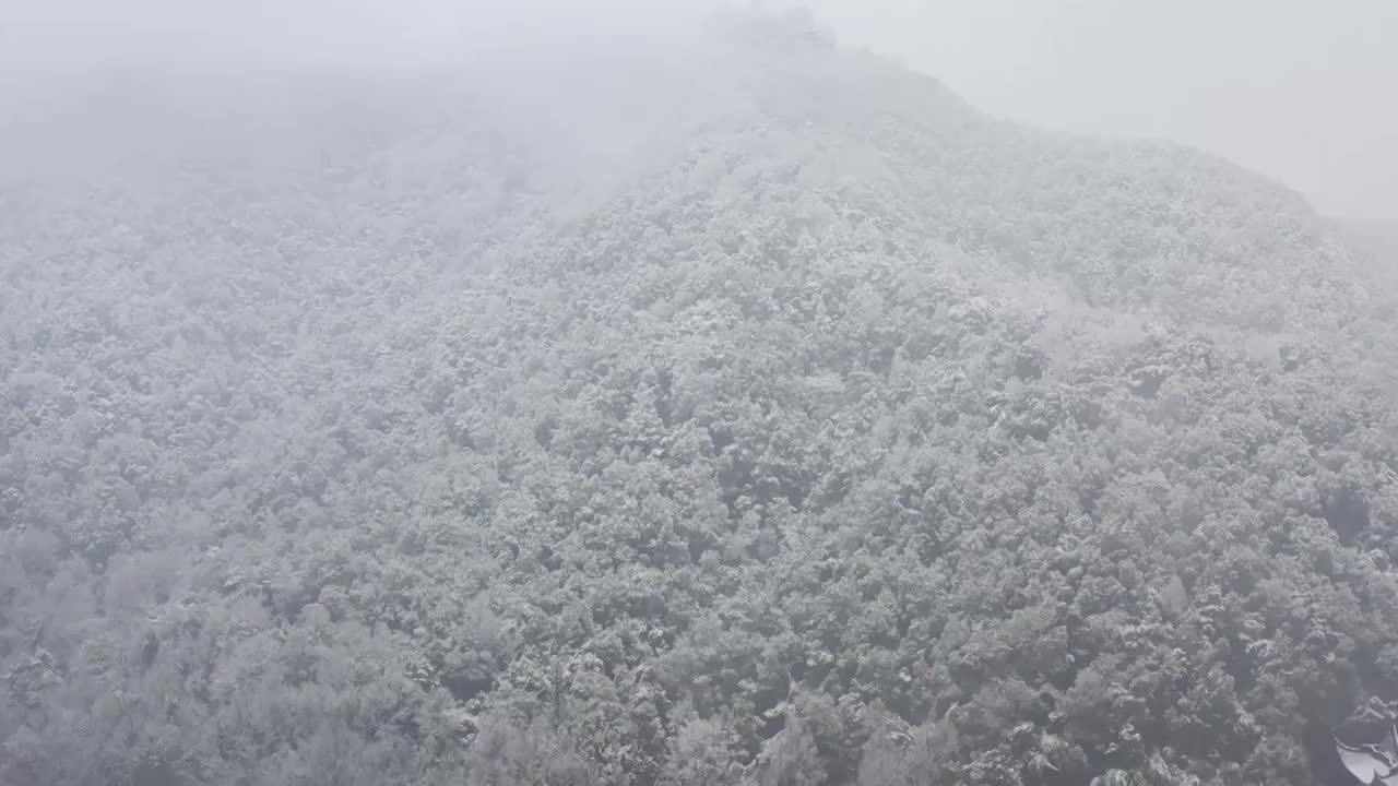 杭州灵应寺雪视频素材