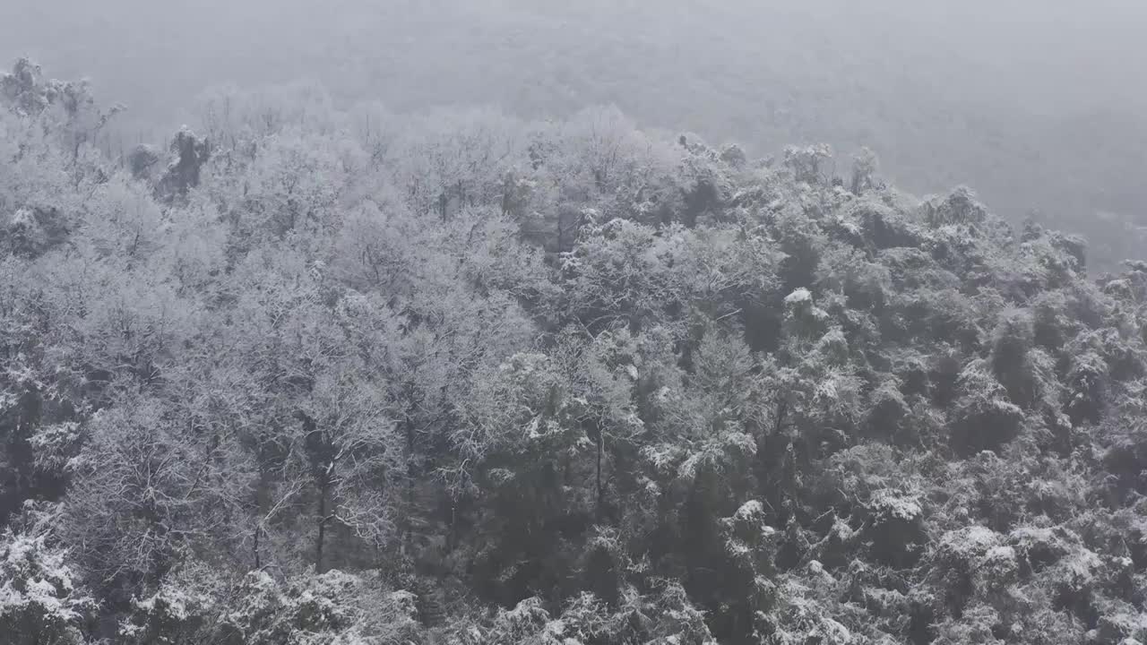 杭州灵应寺雪视频素材