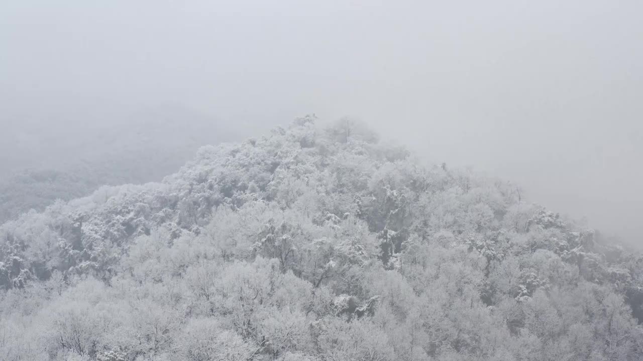 杭州灵应寺雪视频素材