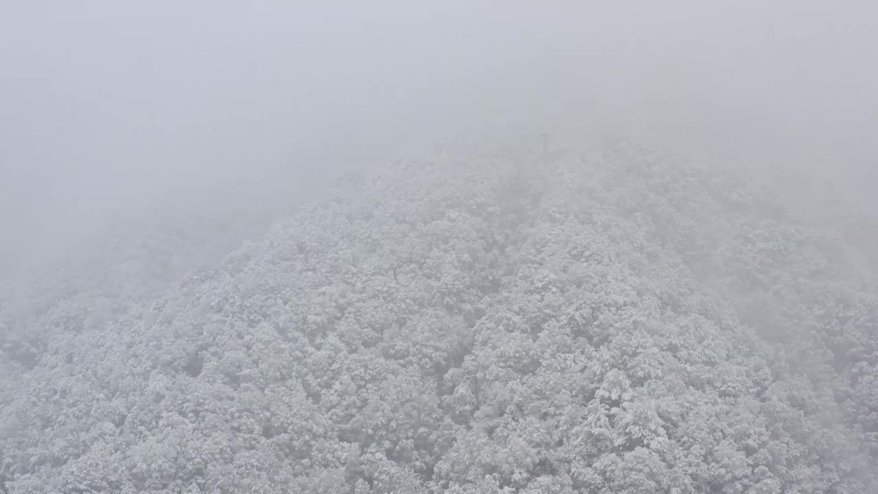 杭州灵应寺雪视频素材