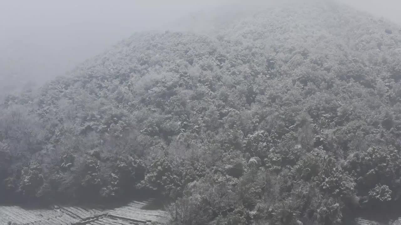 杭州灵应寺雪视频素材