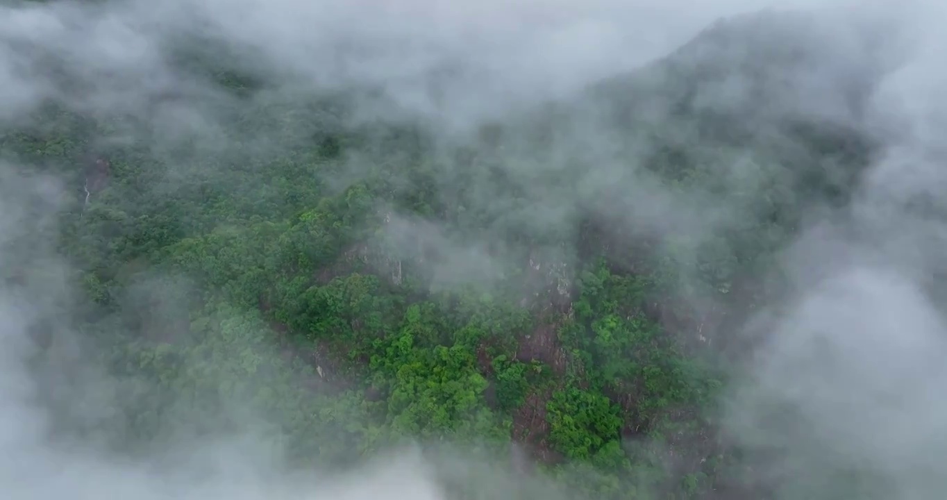 透过云雾看清晨的山林视频素材