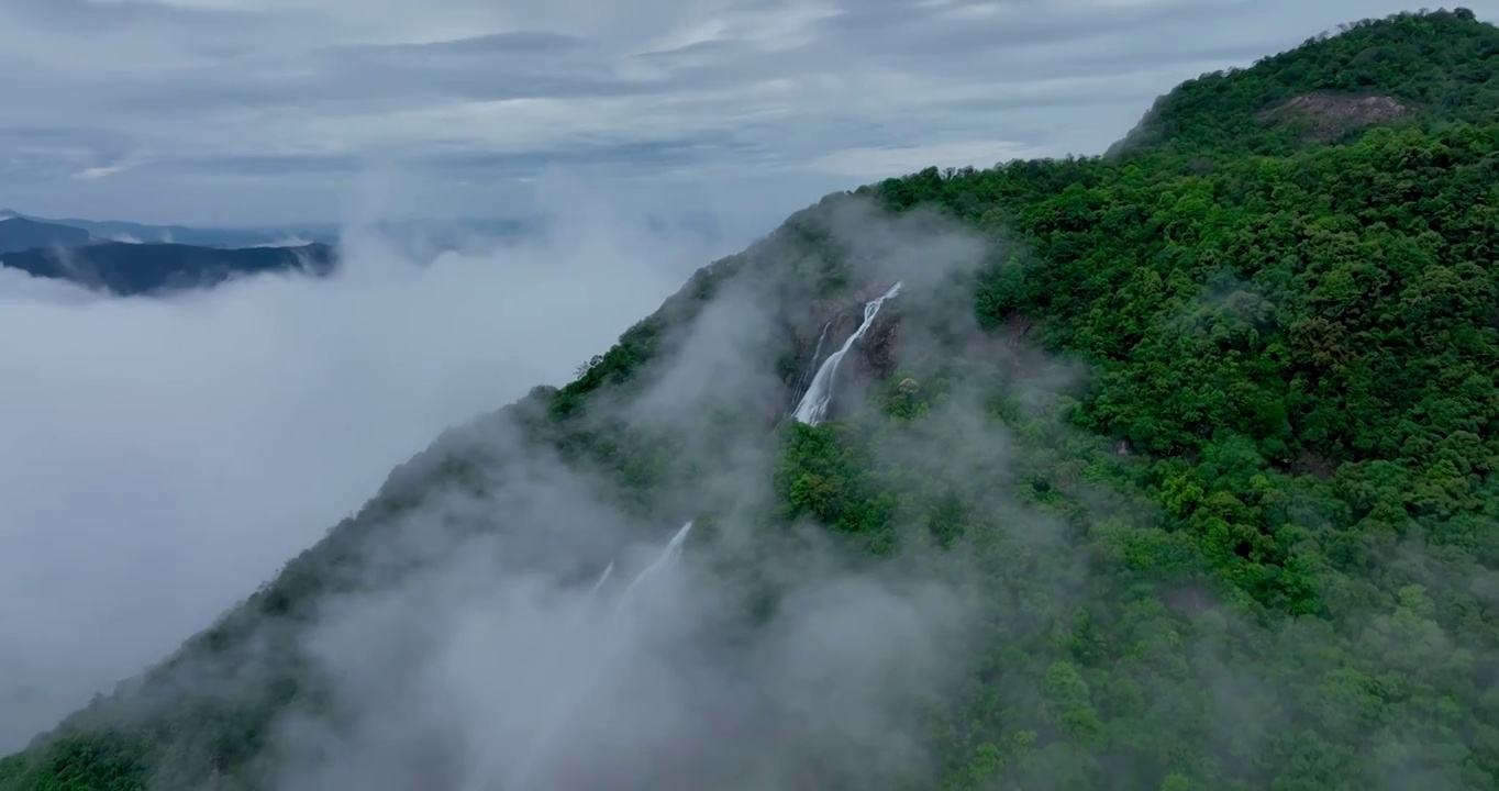 清晨云雾缭绕的白水寨瀑布视频素材