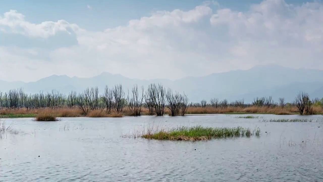 北京野鸭湖风景视频素材