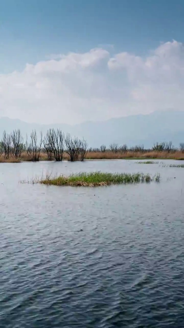 北京野鸭湖风景视频素材