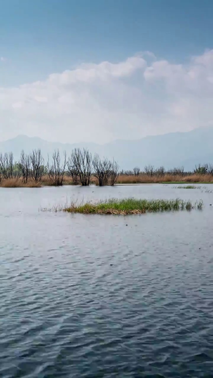 北京野鸭湖风景视频素材