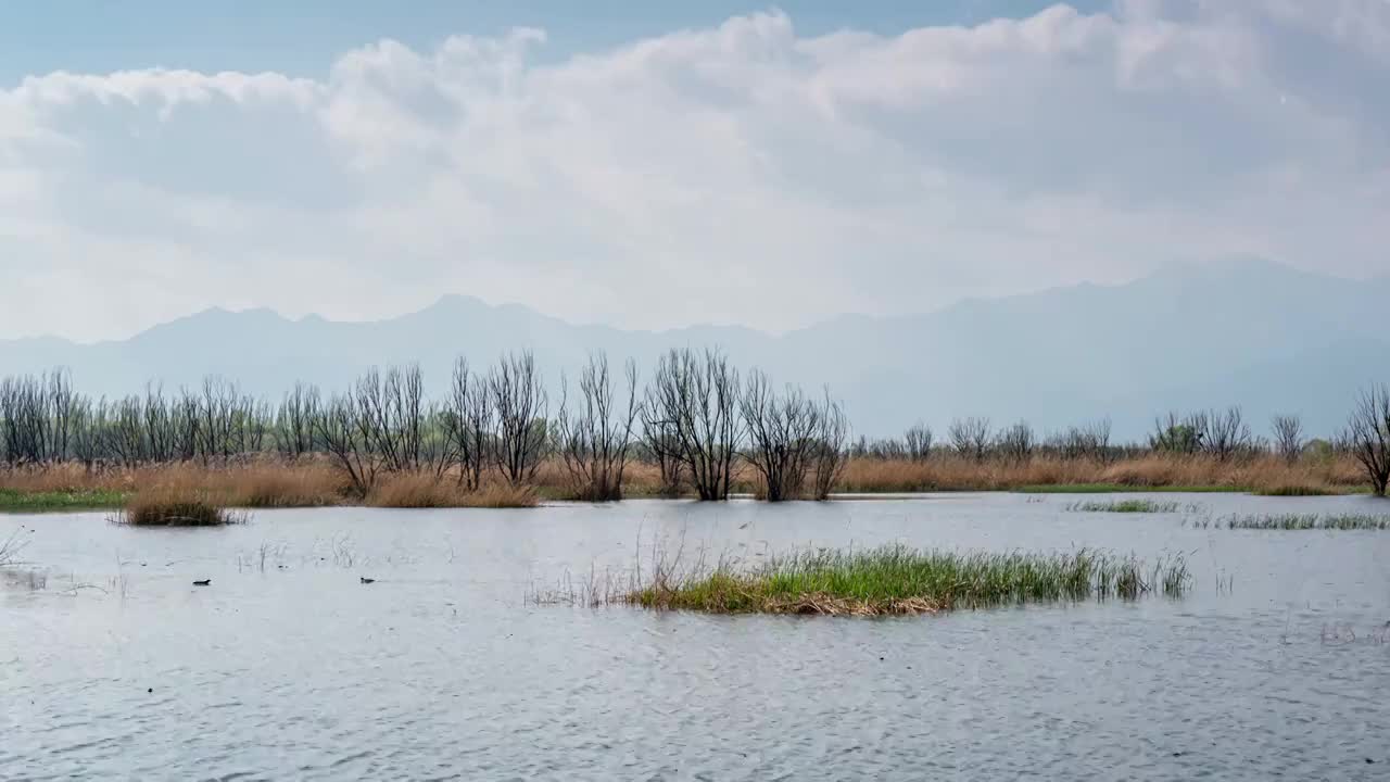 北京野鸭湖风景视频素材