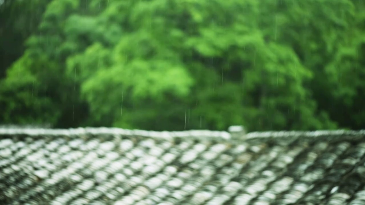 细雨绵绵的背景视频视频素材