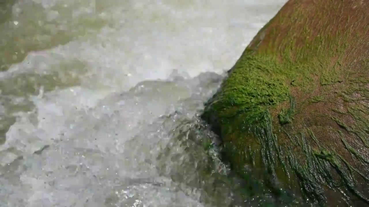 山间的流水视频素材