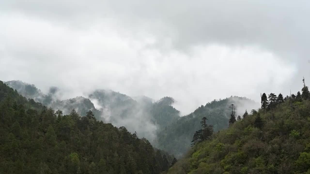 云南省兰坪箐花甸大洋场国家湿地公园延时视频素材