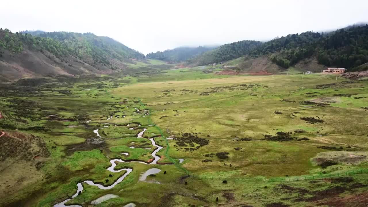 云南省兰坪箐花甸大洋场国家湿地公园延时视频素材