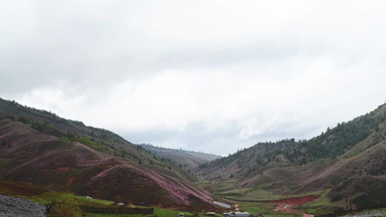 云南省兰坪箐花甸大洋场国家湿地公园延时视频素材