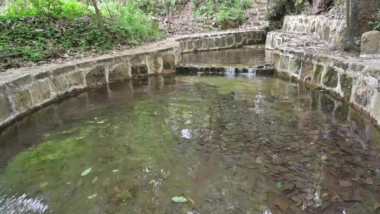 清澈的流水视频素材