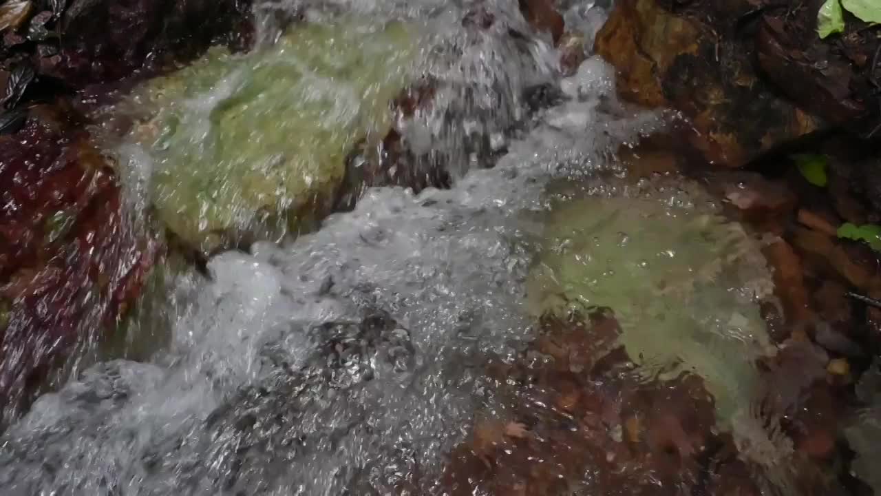 清澈的流水视频素材