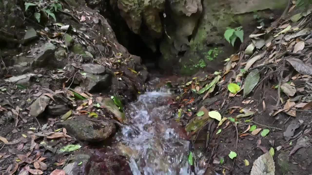 清澈的流水视频素材