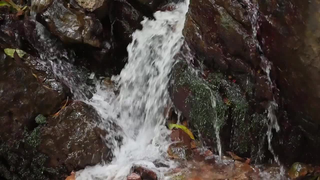 清澈的流水视频素材