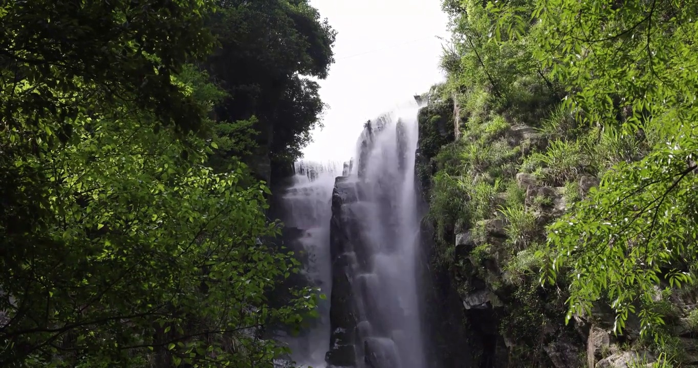 瀑布 自然 河流 溪流 森林 岩石 地形 地理 风景 绿色 流动视频素材