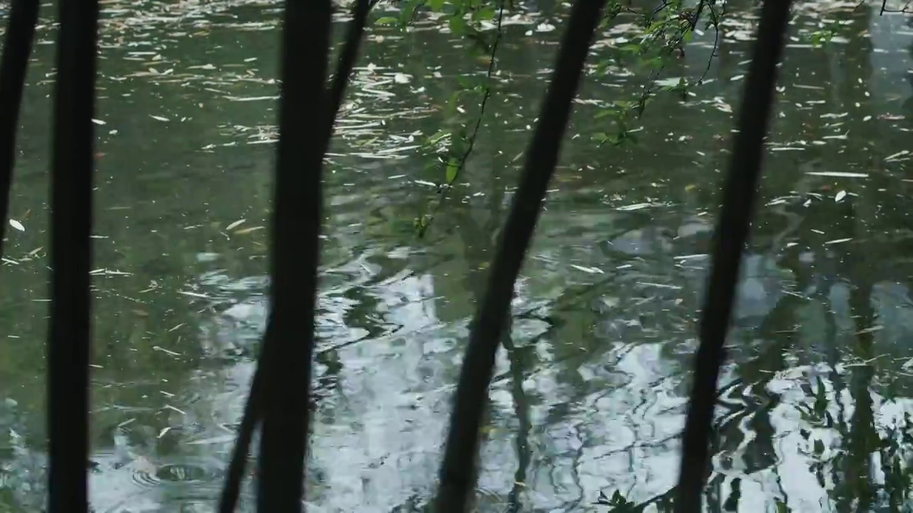 唯美春雨下雨雨天空镜头视频素材