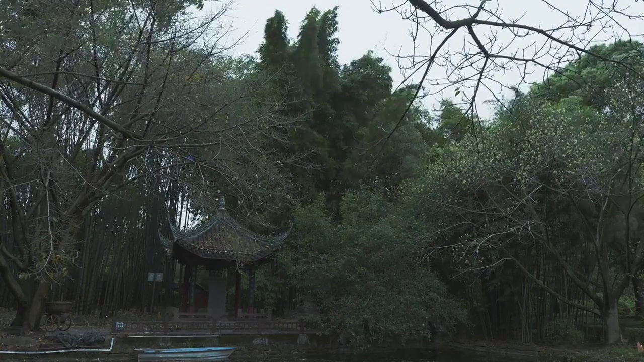 下雨天大风的竹林自然风光视频下载