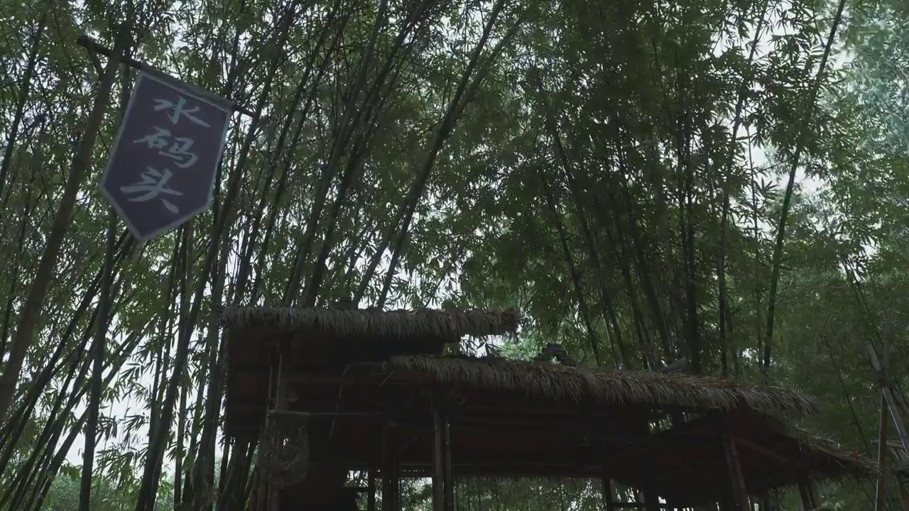 下雨天大风的竹林自然风光视频素材