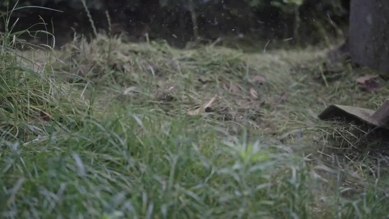 环卫工人使用除草机除草慢动作视频素材