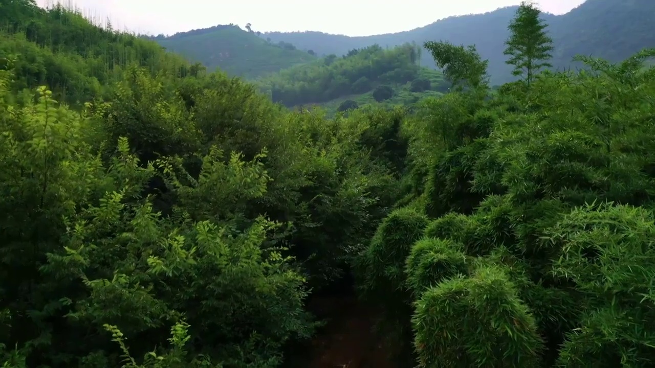 莫干山风景航拍视频素材