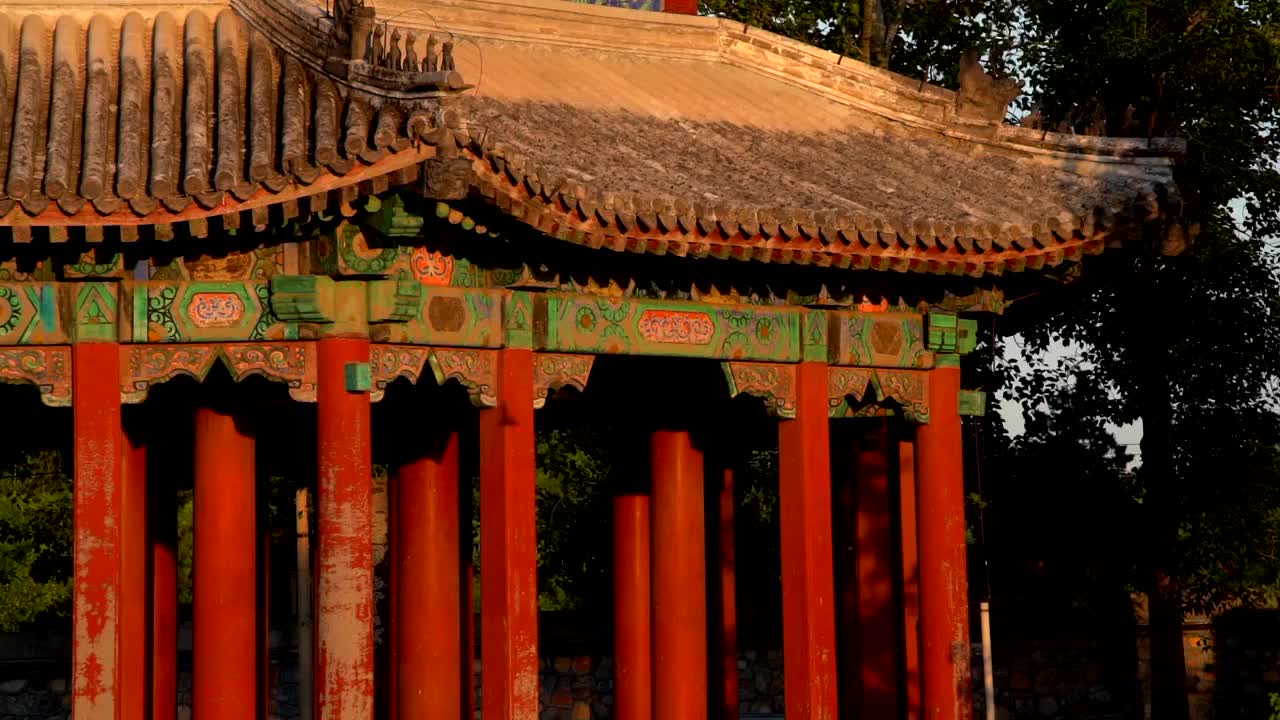 夏天北京颐和园蓝天白云飞鸟湖水视频素材