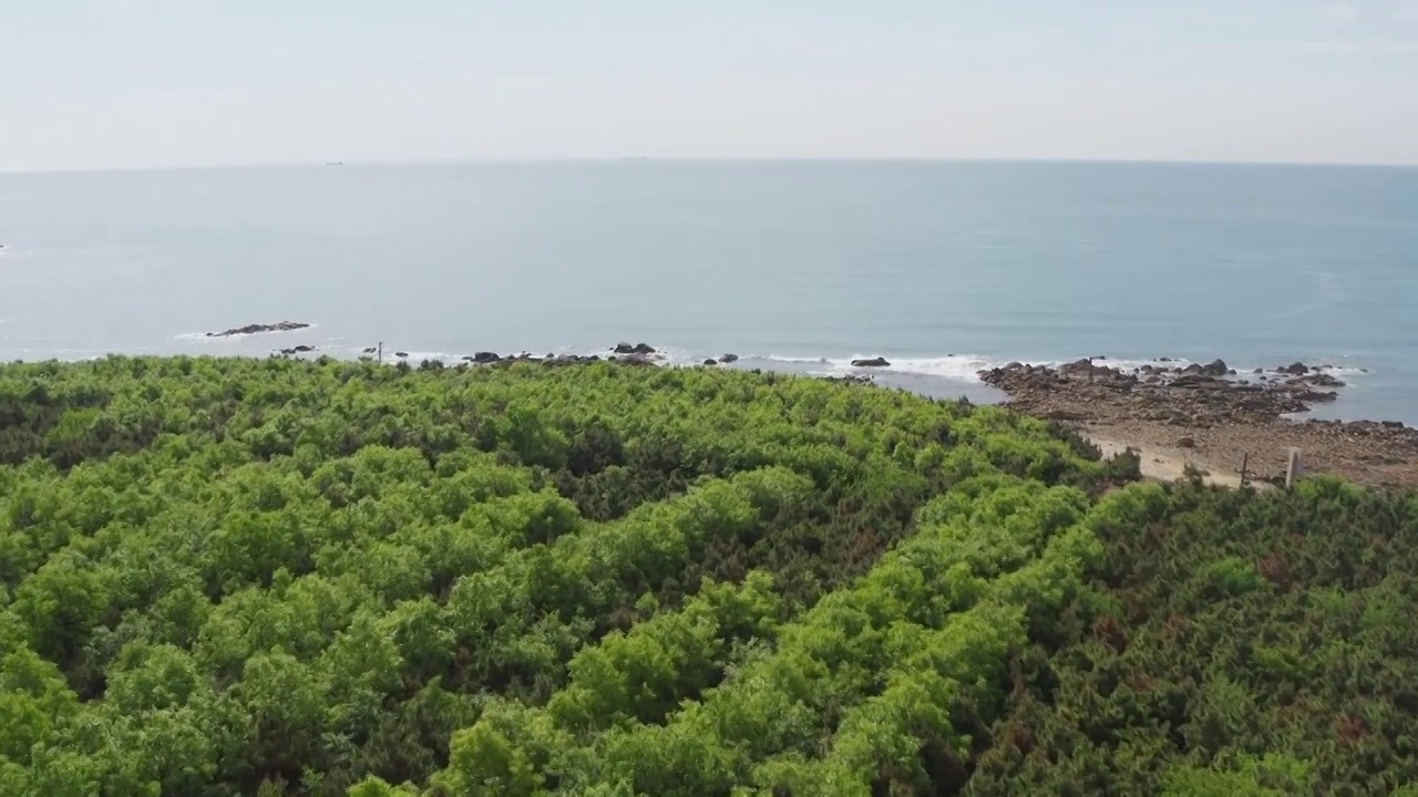 青岛鱼鸣嘴海滨风光视频素材