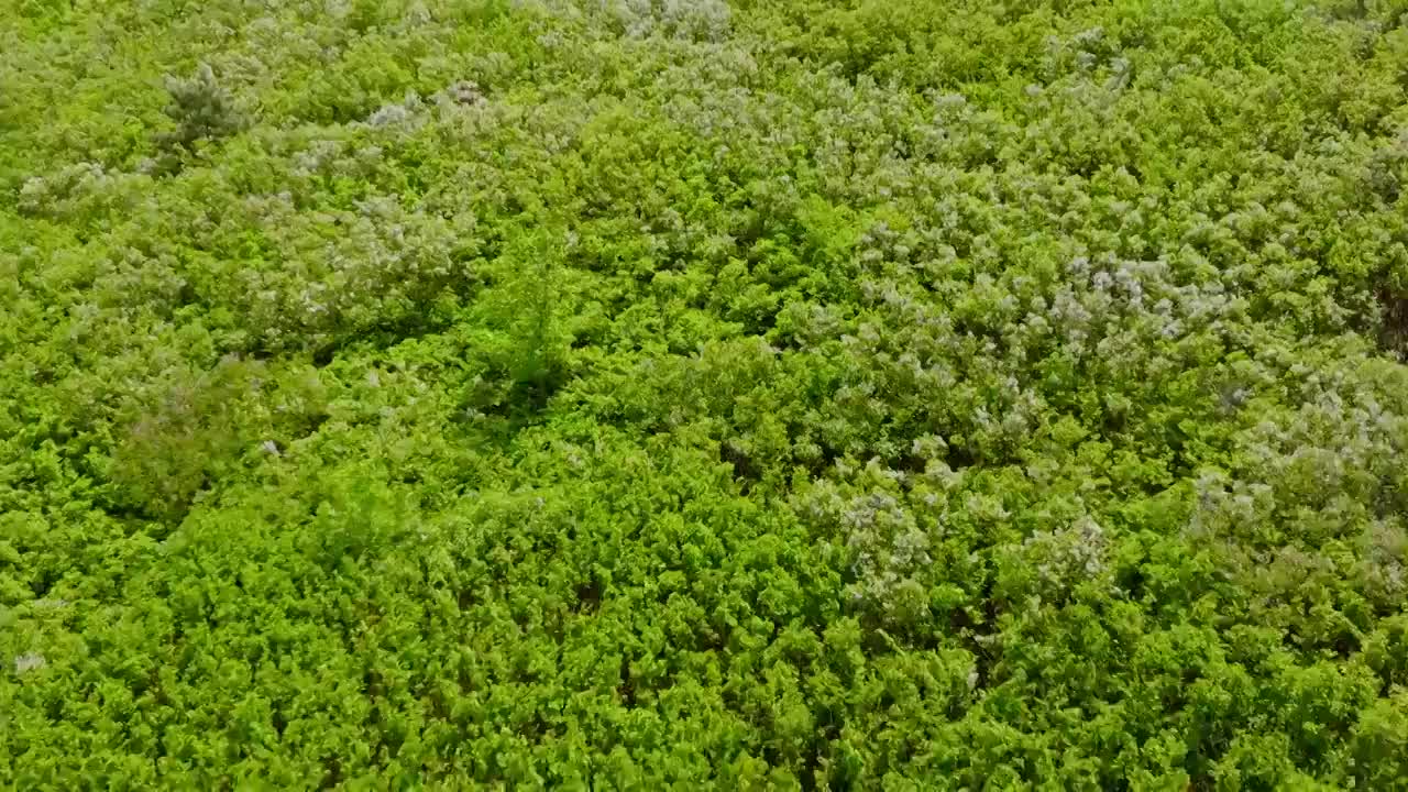 辽宁省阜新市阜新县东骆驼山春日风光视频素材