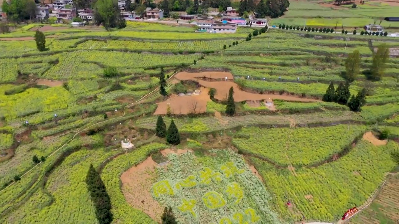 卧这古城油菜花（六）视频素材