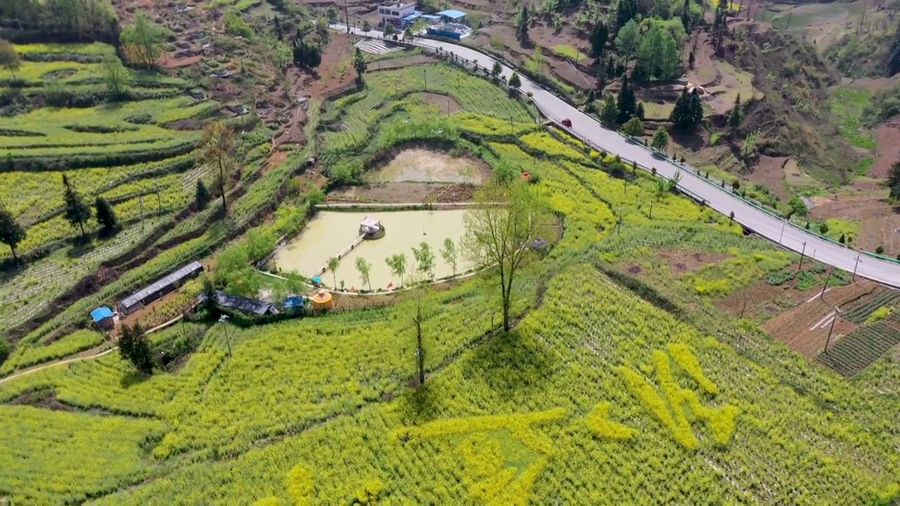 卧这古城油菜花（七）视频素材