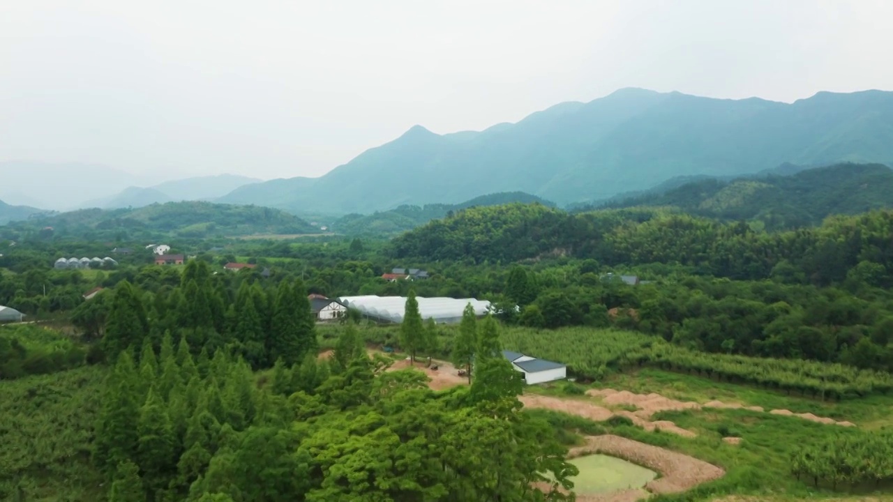 杭州余杭鸬鸟镇梨园大棚种植航拍视频素材