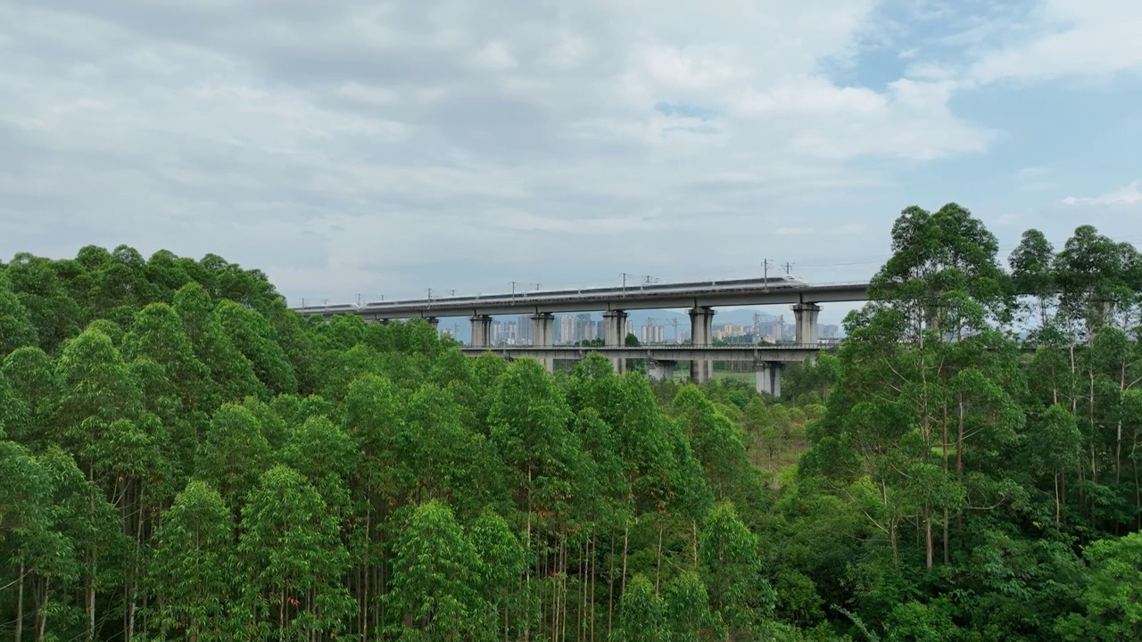 蓝天白云下城市铁路桥上行驶的动车高铁视频素材