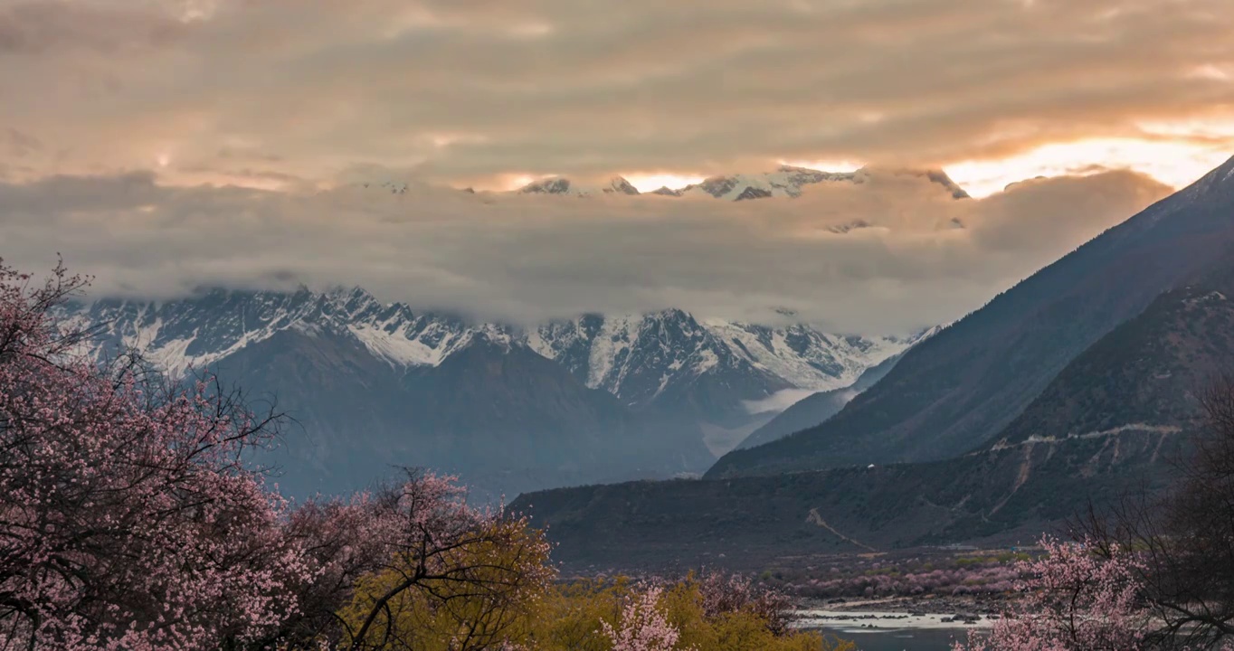 中国西藏自治区林芝市，林芝桃花，南迦巴瓦峰自然景观视频素材