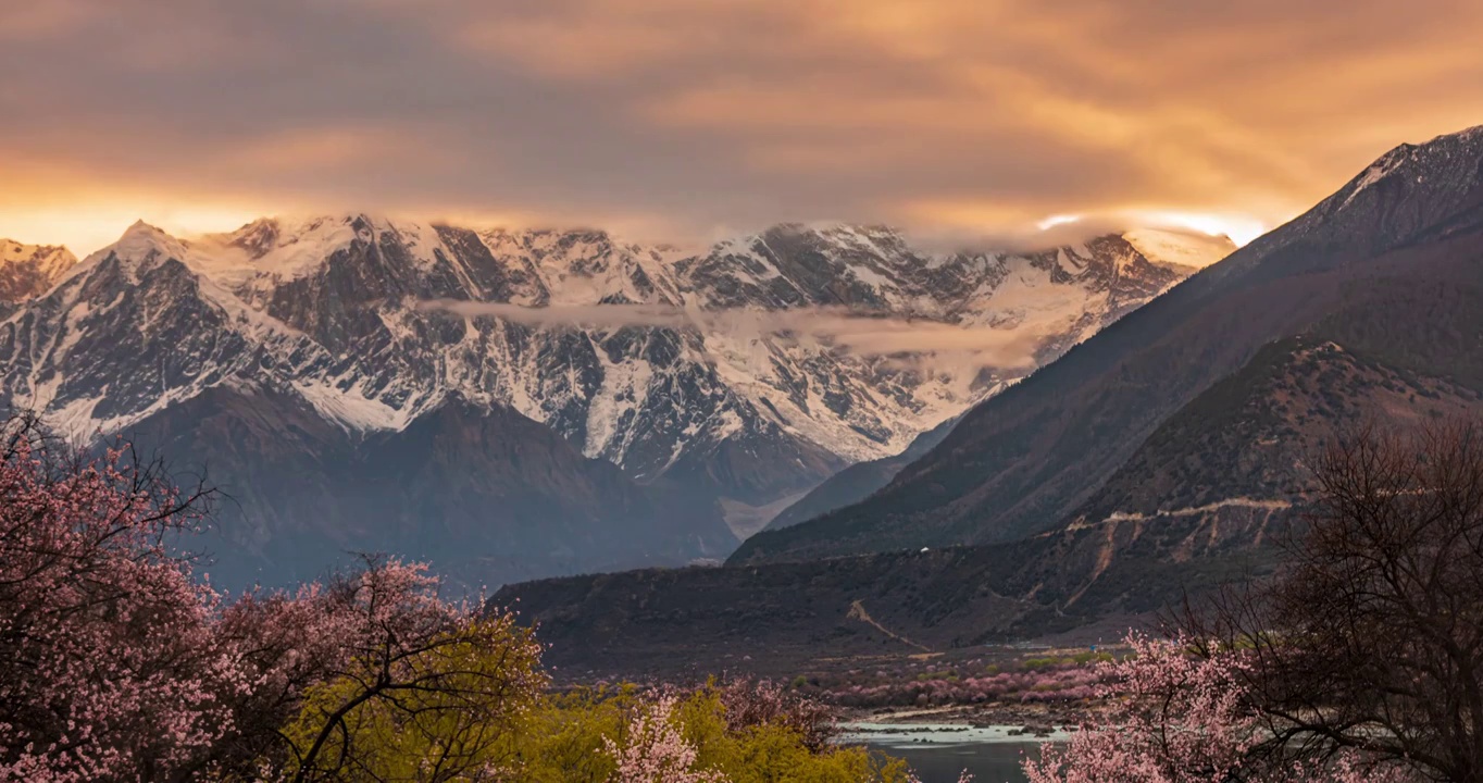 中国西藏自治区林芝市，林芝桃花，南迦巴瓦峰自然景观视频素材