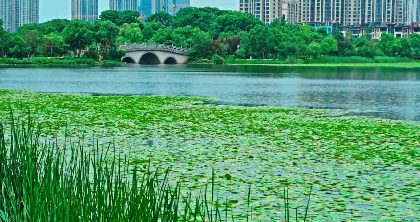 湖南省长沙市梅溪湖景点视频素材