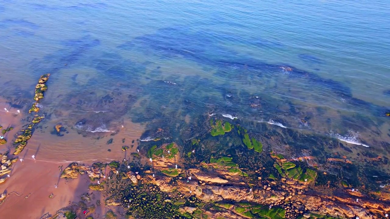 航拍青岛海岸线老城区风光全景视频素材